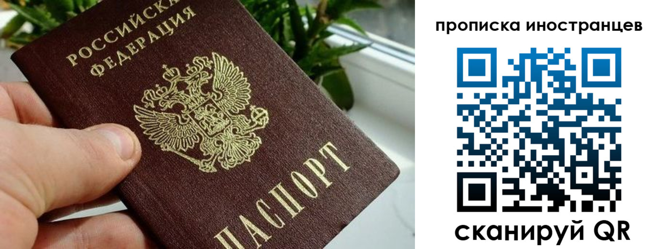временная регистрация в Галиче